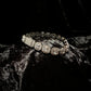 Silver Moissanites Bracelet